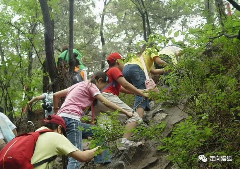 1561950098138914.jpg 640.webp (3).jpg